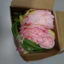 10PCS Deep Pink Realistic Silk Peonies Bouquet, Waterproof & UV Resistant Faux Peony Flowers, All-Weather Artificial Stems for Outdoor, Grave, Wedding Centerpiece & Home Decor