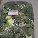 Der Rose 2Pcs 13FT Artificial Eucalyptus Flower Spring Garland with Fake Rose Flower Vine Seeded Eucalyptus Leaves Greenery Garland for Wedding Table Backdrop Party Centerpiece Room Decor (Champagne)