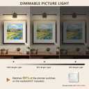 DESOOP Black Picture Lights for Wall Hardwired LED Picture Lighting Dimmable Gallery Light Art Light for Wall Portrait Artwork 23.62 inch 14W Warm White