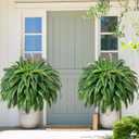 MARTINE MALL 2Pcs 48''/128 Leaves Artificial Ferns for Outdoors Look Real Fake Ferns, Large Faux Boston Ferns for Outdoor Planter Realistic UV Resistant Artificial Fake Plants for Porch Patio Hanging (Green)