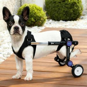 Adjustable Dog Wheelchair for Hind Legs Support, Lightweight Pet Mobility Aid for Disabled or Injured Dogs, Stable Walking Dog Cart