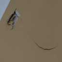 DI CA 30x22 Aerial Ocean View