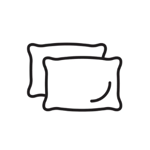 King Size Pillows Set of 2, King