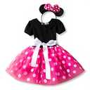 Nileafes Girls Princess Mini Mouse Costume Toddler Birthday Party Fancy Dress Up (4-5 Years,Rose) 100