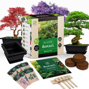 Bonsai Starter Kit  Japanese Bonsai Tree Kit 7 Seeds Pots  Complete Grow Your Own  Plant Lover Gifts Home Gifts for Men and Women