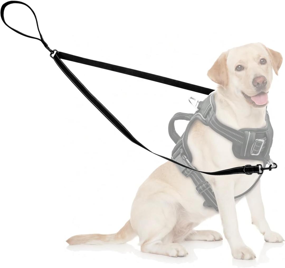 Two Point Control Dog Leash Soft Padded and Reflective Nylon Walking Lead No Tangle Training Leashes Converts to Single Lead Works with No Pull Harnesses for Medium Large Dogs (Black)