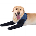 COODEO Dog Socks to Prevent Licking Paws, Dog Boots & Paw Protectors with Non-Slip Bottoms to Protect Wounds, Waterproof Dog Shoes for Licking (Blue, 3XL)