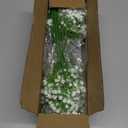 Yastouay 50 Pcs Babys Breath Artificial Flowers, White Baby Breath Flowers Artificial Bulk, Real Touch Fake Flowers Babys Breath Gypsophila for Wedding Home Party Bouquet Floral Arrangement Decor