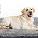 Bestio Heated Dog Bed 3220x2 in,MET&UL Dual Certified Heated Cat Beds for Indoor Cats and Small Dogs, Heated Pet Bed with Timer & Temp Adjustable, Removable Waterproof Electric Warming Bed