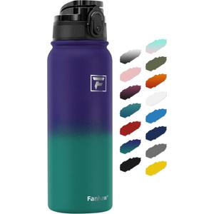 Fanhaw 20 oz Insulated Stainless Steel Water Bottle with Anti-Dust Chug Lid, Leakproof Vacuum Metal Bottle for Kids, Women & Men (Purple Green)