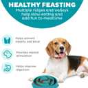 Outward Hound Fun Feeder Slo Bowl  Medium 2Cup Capacity, Slow Feeding, Small to Medium Dogs & Cats, Non-Slip, Turquoise, Drop Pattern