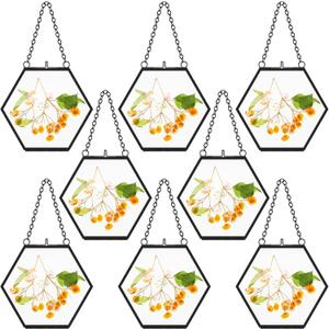 8 Pcs Pressed Flower Frames 4 x 3 Inch Hanging Glass Floating Photo Frames Glass for Pressed Flowers Double Picture for Artwork Display Photo Modern Home Wall Decor(Black)