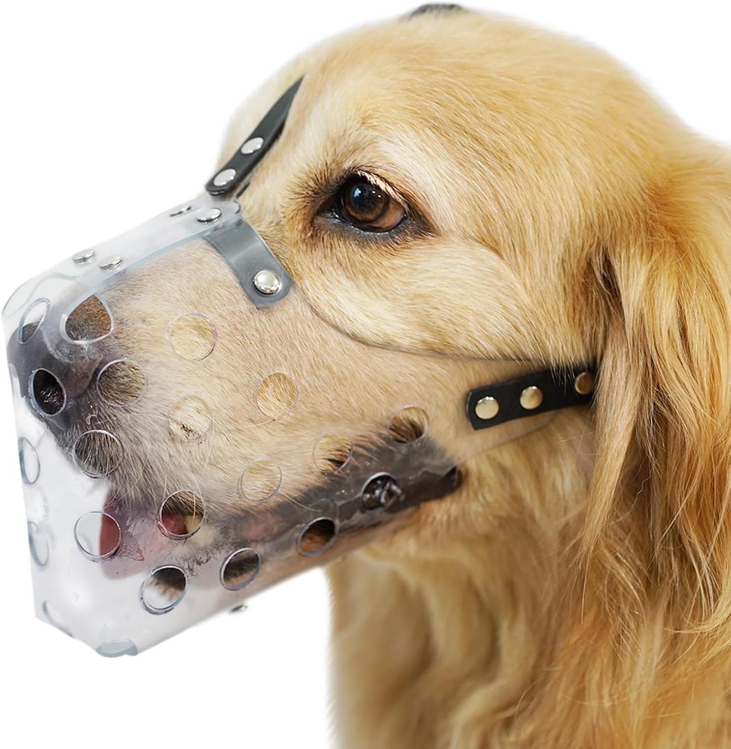 Mayerzon Dog Muzzle, Basket Muzzle for Small Medium Large Sized Dogs, Muzzle for Dogs to Prevent Biting for Grooming Scavenging, Breathable Muzzle for Husky Golden Retriever Labrador Beagle M
