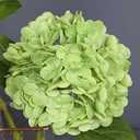 3D Real Touch Large Artificial Hydrangea Flower, Medium Green Faux Hydrangea for Wedding, Party, Luxury Home Decor and Floral Arrangement, 3 Pack 