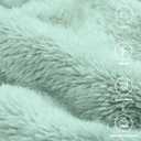 Plush Fleece Throw Blanket for Couch and Bed, Fluffy Fuzzy Cozy Lightweight Soft Blankets All Season Use (40x50 Inches,Aqua)