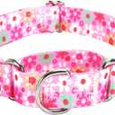 Martingale Collar for Dogs, Pink Flowers Martingale Collar for Girl Female Dogs Large Medium and Small, Adjustable Premium No Slip -Summer Floral Design (S) (S (Neck 12"-17"), 20)