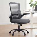 Office Desk Chair for Long Hours & Lower Back Pain Relief – 4“ Thick Molded Foam Cushion, Enhanced Lumbar Support, Padded Flip-up Armrests, Ideal for Office or Study (Dark Gray)