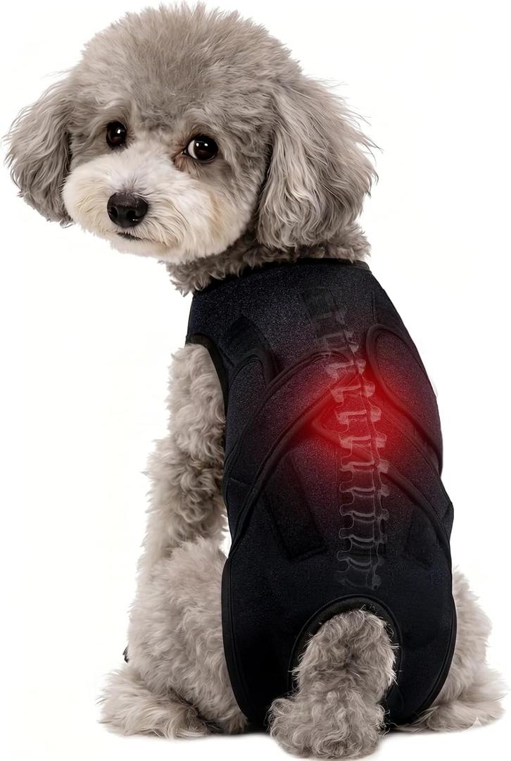 Dog Back Brace for IVDD & Spinal Recovery, Adjustable Breathable Support Vest Dog Lumbar Protector Helps Pain Relief, Pet Surgical Suit for Back Disease Prevention, Black XS
