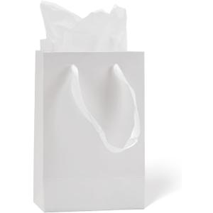 Aosric 30 Pack 5x3x8 In White Gift Bags  Small Sturdy & Reusable Premium Gift Bags for Boutique Gift, Party Favors, Weddings, Birthdays, Christmas and Holidays