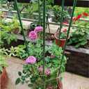 G-LEAF Garden Stakes 5 ft Plastic Coated Steel Tube Sturdy Metal Plant Sticks for Tomato,Cucumber,Bean,Tree,Pack of 25