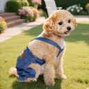 choyaxo Dog Clothes Denim Overalls Pet Strap Pants for Small Puppy Cat Pets Jean Jacket Sling Jumpsuit Dog Apparel & Accessories (Blue, Medium)