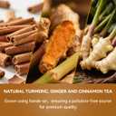 BEICAI 240g/120-Count Premium Turmeric Ginger Cinnamon Tea Bags | 100% Natural, Triangular Corn Fiber for Full-Bodied Brew | Supports Digestive & Immune Health (120) (EXP 04/14/27)