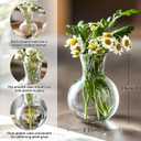 Plastic Propagation Vases (4 Bulbs),Desktop Plant Terrarium for Indoor Plants - Hydroponics Containers for Home Office Desk Decor, mini Gardening Gifts for Women Who Love Plants (4PCS)