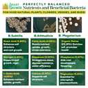 Organic Liquid Plant Food for Indoor Plants & Gardens, Natural NPK Fertilizer w/Beneficial Microbes, Rapid Results, Vegan, Best Value Super Concentrate, Smart Grower, Makes 80 Gallons (16 Fl Oz)