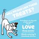 SHAMELESS PETS Natural Grain Free Dog Treats | Made in The USA from Upcycled Food Ingredients (Apple) (EXP 05/12/26)