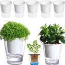 5-Pack 4.3 Inches Clear Self-watering Pots Small African Violet Planters Plastic Plant Pots Wicking Flower Pots for Indoor Plants, Herbs, African Violet, Ocean Spider Plant, Orchid Pot, Garden Pots