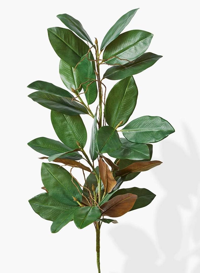 Serene Spaces Living 32in Long Artificial Magnolia Leaf Garland, Ideal to Hang at Wedding, Store Display, Window Sill, Fall Decor, Perfect Holiday Dcor