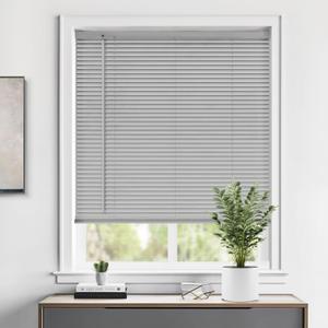 LazBlinds Cordless 1" Vinyl Mini Blinds for Indoor Windows - Light Filtering Horizontal Window Blinds & Shades, 27" W x 48" H, Grey