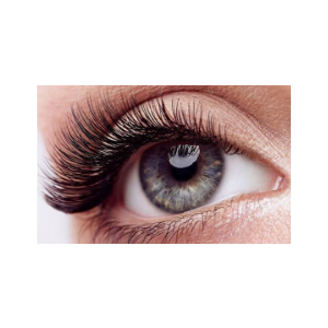 False Eyelashes