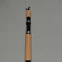 LCE Fishing Rod,Winter Fishing Rods Ice Fishing Rods Pen Pole Lures Fishing Tackle Spinning Casting Hard Rod Without Reel Useful and Practical Fishing Rod and Reel Combos Hunting and Fishing (75cm)