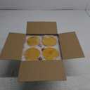 Overnight Oats Containers with Lids,16oz Overnight Oats Jars 4 Pack, Oatmeal Cups,Meal Prep Containers,Glass Meal Prep Containers with Lids,China Pudding Jars