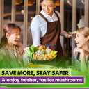 DUSPRO Recycle Premium 4-in-1 Mushroom Substrate Mix with Coco Coir, Zeolite, Gypsum & Vermiculite  Ideal Mushroom Growing Mix for Gardening, Moisture Retention, pH Balance & Ready to Use Mixture 8QT