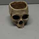 READAEER Skull Planter with Drain Hole, Resin Skull Shaped Flower Pot Candy Bowl, Gothic Decoration for Home Office Desk- White