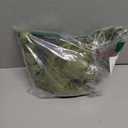 Rhode Island Novelty 15-inch Wide Animal Den Brachiosaurus Plush, 15" L x 4" W x 11" H