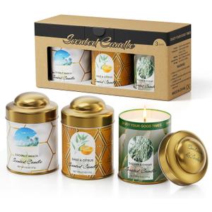 3-Pack Aromatherapy Candle Set - Scented Candles | 4.5oz  3 | 75+ Hour Total Burn | Natural Soy Candles for Home, Gifts & Christmas