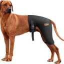Dog Hip Brace with Hot/Cold Compress, Support for Hip Dysplasia, Arthritis, Back Leg limping, Prevents Hip Joint Issues, Reduce Hip Pain etc(Female Dog, XL)