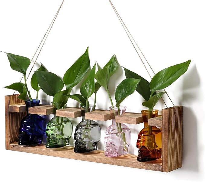 Plant Terrarium Propagation Stations Halloween Skull Planter Vase Skulls Decor with Wooden Stand Gife for Father - 3 Vases