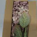 Ttranewsoo Fake Flowers Hydrangea Silk Flowers with Stems, Brown Flowers Fall Hydrangea Artificial Flowers, Winter Flowers Artificial for Decoration Vase Indoor and Outdoor 24"（Brown ） 8PCS Wthout Vase