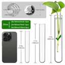 6pcs 100ml Large Glass Test Tube, 30x200mm Propagation Tube for Plant, 3.3 Borosilicate Clear Big Glass Test Tube Vase for Scientific Experiments Party Office Desktop Flower Decoration Wedding