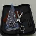 5.0 inch 440C Sliver Salon Hair Cutting Scissors Barber Shears with Bag- Perfect for Professional Hairdresser