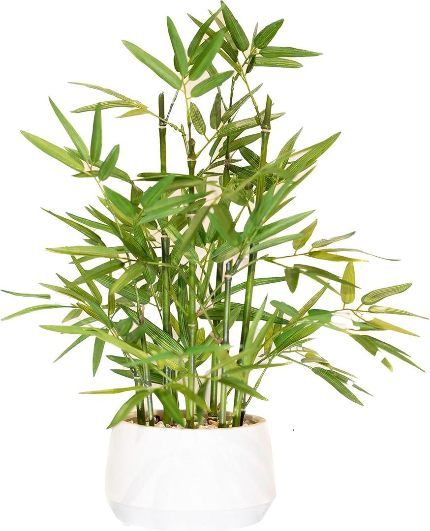 365 Blooming Decor 18 inch Tall White Potted Faux Bamboo Plant- Luxury Artificial Bamboo Tree in White Pot for Home, Office, Kitchen, Counter Top, Indoor Decor, Money Tree, Lucky Bamboo Tree. (Green/ White)