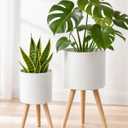 2 Pack Plant Stand, Metal Planter Holder with Wooden Legs, White