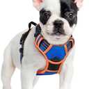 rabbitgoo Dog Harness No Pull with 2 Leash Clips, Adjustable Soft Padded, Reflective Oxford No Choke Pet Vest with Easy Control Handle for Small Dogs, Blue & Orange, Small