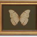 Gold Framed Wall Art Vintage Butterfly Canvas Wall Art White Butterfly Moody Insect Artwork Prints Picture for Living Room Bedroom Farmhouse Bathroom Office Decor, 8x10