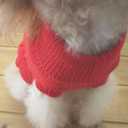 Tangpan Turtleneck Classic Straw-Rope Pro Pet Dog Sweater Apparel (Red,S) (Small (Pack of 1))