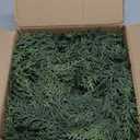 6Ft Realistic Artificial Cedar Pine Garland - Thick Lush Full Faux Greenery Garland for Fireplace Mantle, Indoor Outdoor Christmas Holiday Home Party Decorations